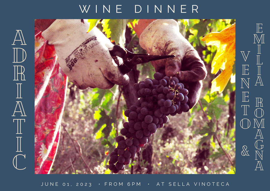 Monthly wine dinner - Adriatic coast of Italy